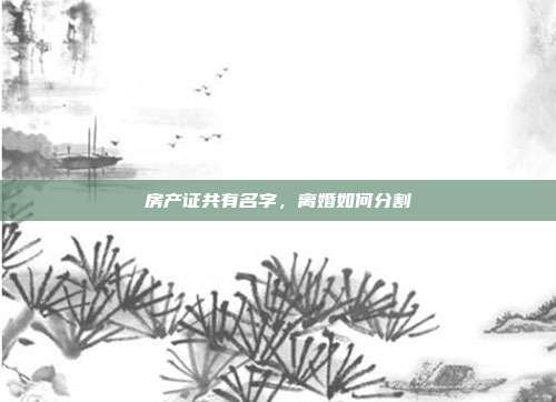 房产证共有名字,离婚如何分割