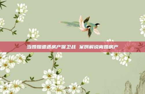 当婚姻遭遇房产保卫战 案例解说离婚房产