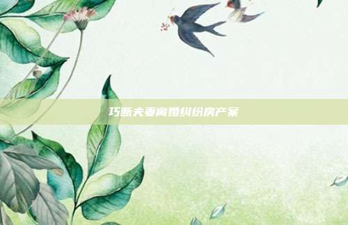 巧断夫妻离婚纠纷房产案