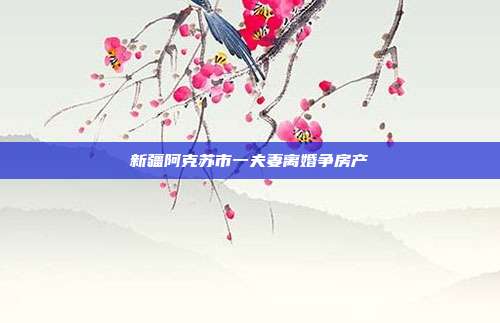 新疆阿克苏市一夫妻离婚争房产