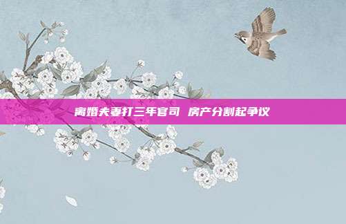离婚夫妻打三年官司 房产分割起争议