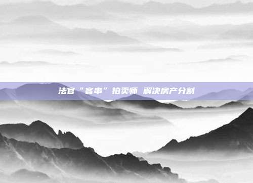 法官“客串”拍卖师 解决房产分割