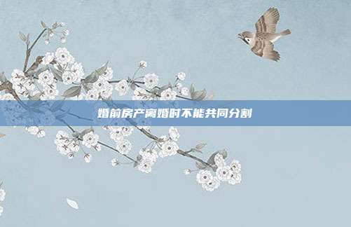 婚前房产离婚时不能共同分割