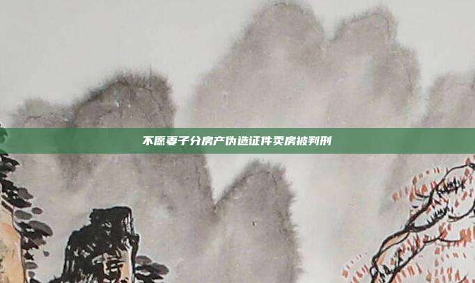 不愿妻子分房产伪造证件卖房被判刑