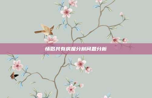 情侣共有房屋分割问题分析