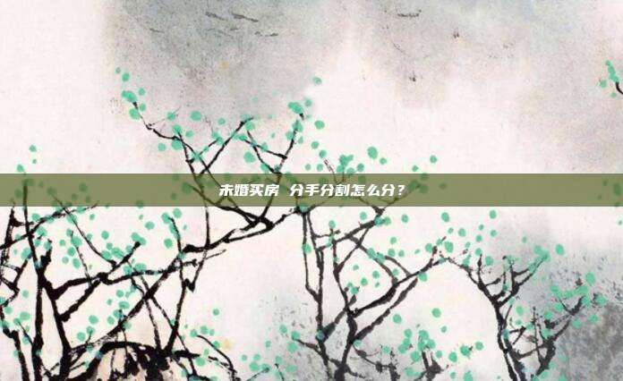 未婚买房 分手分割怎么分？