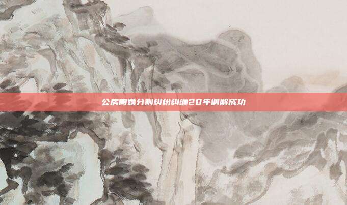 公房离婚分割纠纷纠缠20年调解成功