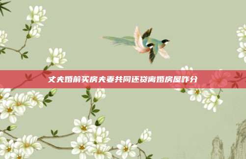 丈夫婚前买房夫妻共同还贷离婚房屋咋分