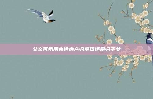 父亲再婚后去世房产归继母还是归子女