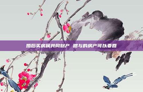 婚后买房属共同财产 赠与的房产可以要回