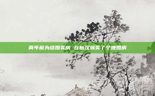 两年前为结婚买房 在新汉城买了个晚婚房