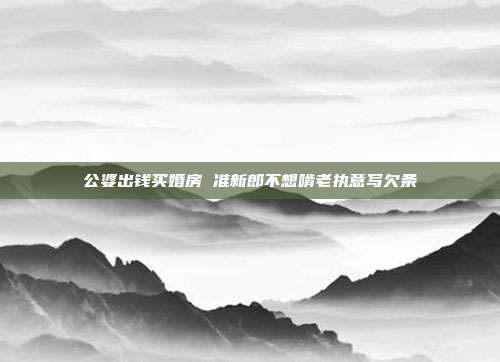 公婆出钱买婚房 准新郎不想啃老执意写欠条