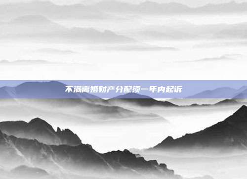 不满离婚财产分配须一年内起诉