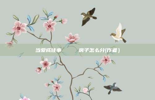 当爱成往事 房子怎么分(作者)