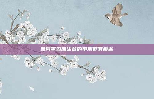 合同审查应注意的事项都有哪些