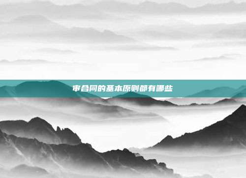 审合同的基本原则都有哪些
