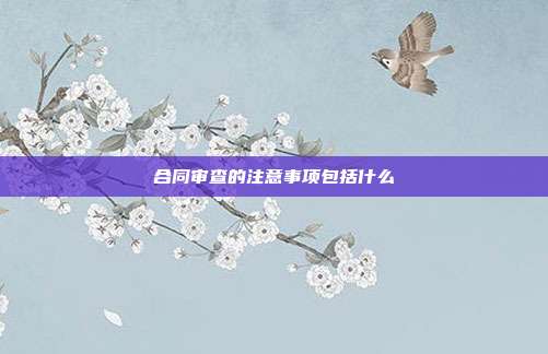 合同审查的注意事项包括什么