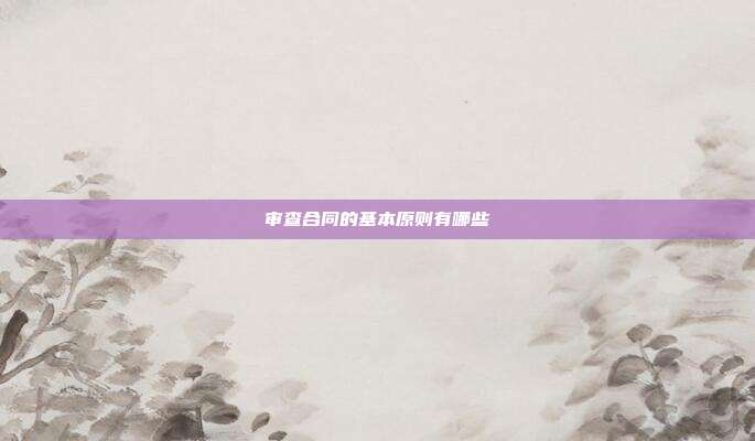 审查合同的基本原则有哪些