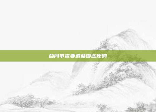 合同审查要遵循哪些原则