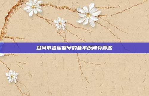 合同审查应坚守的基本原则有哪些