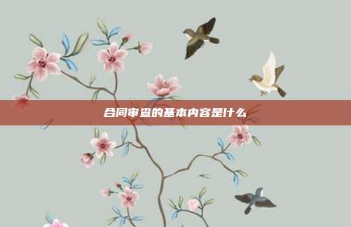 合同审查的基本内容是什么