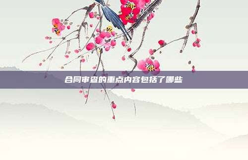 合同审查的重点内容包括了哪些
