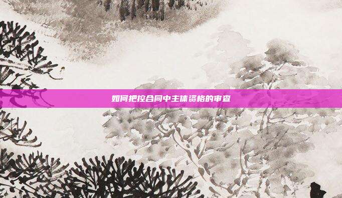 如何把控合同中主体资格的审查