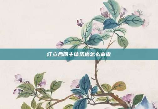 订立合同主体资格怎么审查