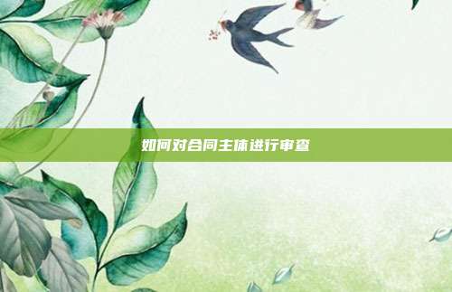 如何对合同主体进行审查