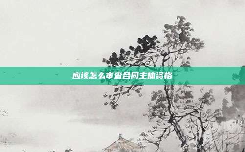 应该怎么审查合同主体资格