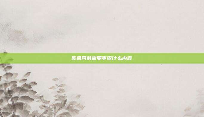 签合同前需要审查什么内容
