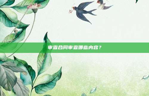 审查合同审查哪些内容？