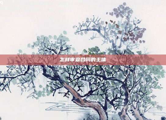 怎样审查合同的主体