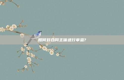 如何对合同主体进行审查?