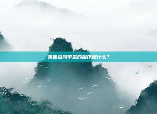 集体合同审查的程序是什么？
