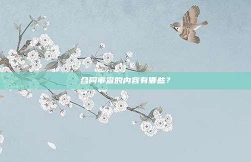 合同审查的内容有哪些？