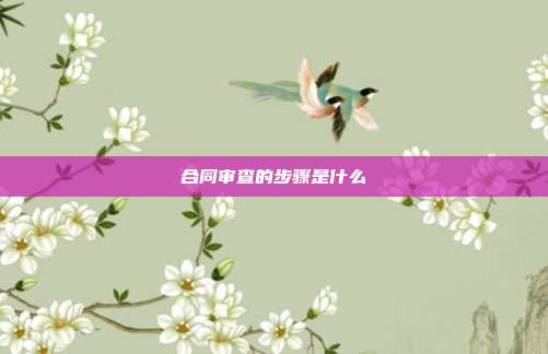 合同审查的步骤是什么