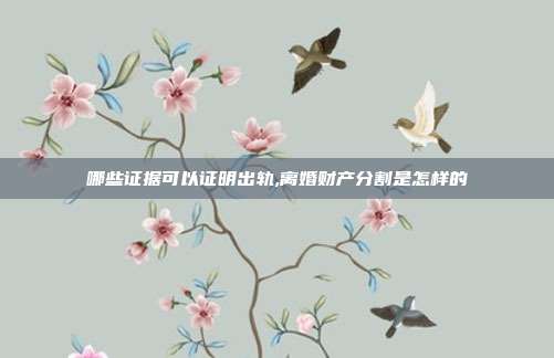 哪些证据可以证明出轨,离婚财产分割是怎样的