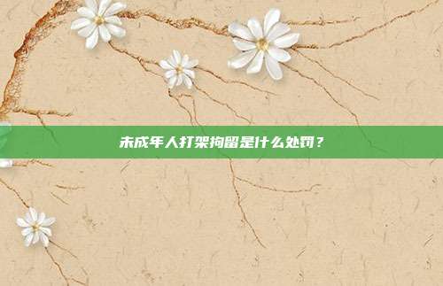 未成年人打架拘留是什么处罚？