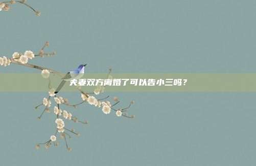 夫妻双方离婚了可以告小三吗？