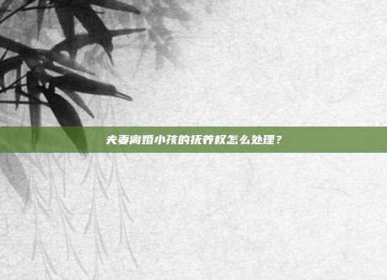 夫妻离婚小孩的抚养权怎么处理？