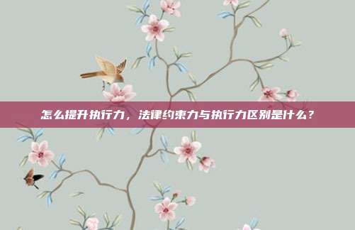 怎么提升执行力，法律约束力与执行力区别是什么？