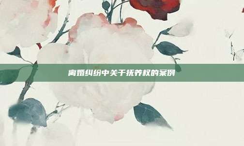 离婚纠纷中关于抚养权的案例