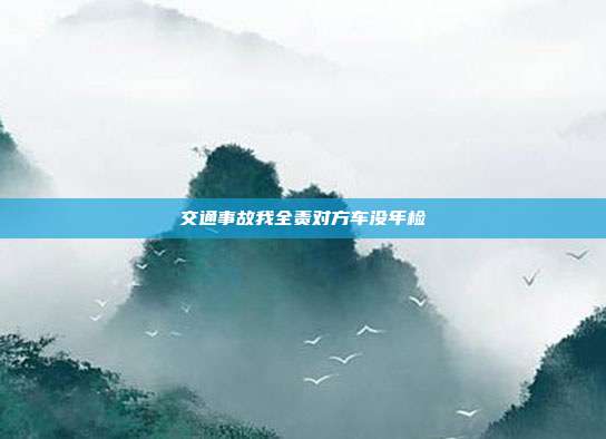 交通事故我全责对方车没年检