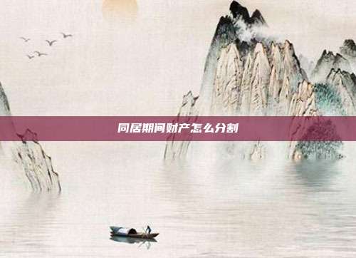 同居期间财产怎么分割