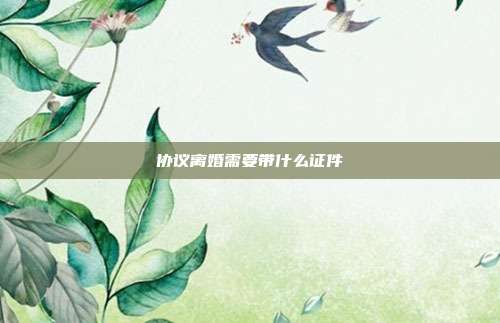 协议离婚需要带什么证件