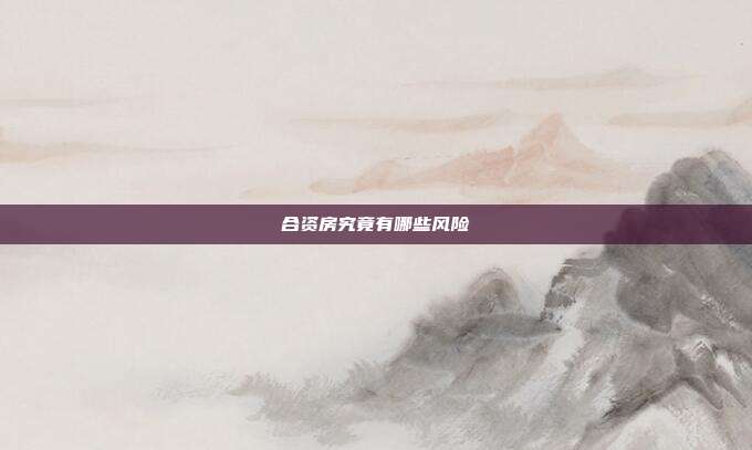 合资房究竟有哪些风险
