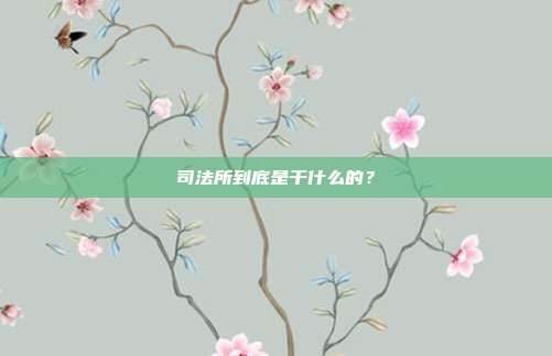 司法所到底是干什么的？