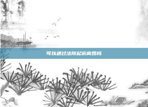 可以通过法院起诉离婚吗