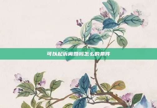 可以起诉离婚吗怎么的条件